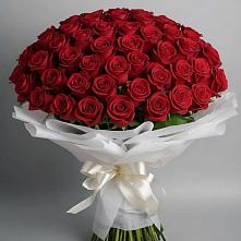 Букет 101 Красная роза Блэк Мэджик #REPLACE_PRED# Еремизино-Борисовской