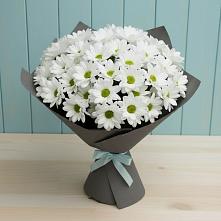 Букет цветов из:  Хризантемы #REPLACE_PRED# Еремизино-Борисовской