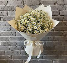 Букет цветов из:  Ромашки в Еремизино-Борисовской