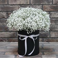 Цветочная композиция из Гипсофила в шляпной коробке в Еремизино-Борисовской