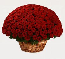 Премиум букет из: Розы #REPLACE_PRED# Еремизино-Борисовской